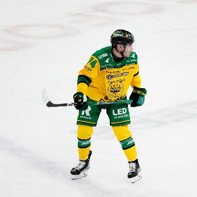 Geführte Meditation Zelluläre Verkörperung – Werde zur Frequenz deiner Vision