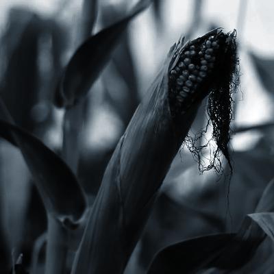 20 Minutes in Top Lab Ep 1: Topical Version of the Aff and Disclosure 20 Minutes in Top Lab Ep 1: Topical Version of the Aff and Disclosure