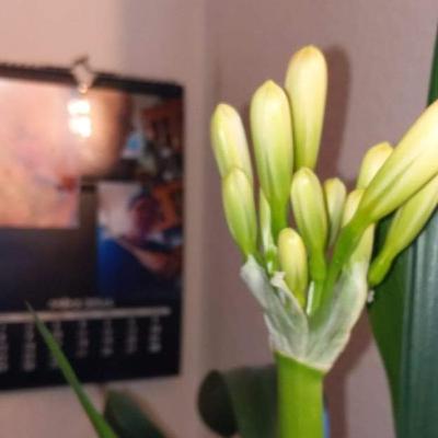 Sei auf der Hut, vor den Neuen Seelenfängerinnen in einem Chat. Sei auf der Hut, vor den Neuen Seelenfängerinnen in einem Chat.