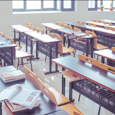 4-Tage-Schule | 150 € für Bürgergeld-Haushalte | Sozialunternehmen gestärkt | Meeresschutz | Hunde stärken Psyche