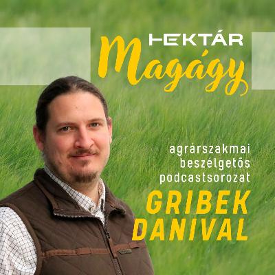 Szabi a pék: prémium búzára van szükségünk a gazdálkodóktól! - A minőségi búza előállítása lehet a kitörési pont? Szabi a pék: prémium búzára van szükségünk a gazdálkodóktól! - A minőségi búza előállítása lehet a kitörési pont?