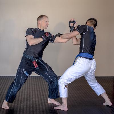 Episode 15 - What is Xing Yi Quan?