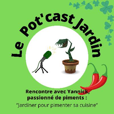Yannick jardinier du Potager Piments Yannick jardinier du Potager Piments