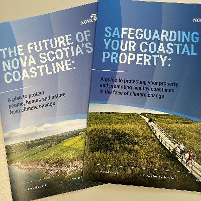 Coastal protection by ‘instinct and better judgment’