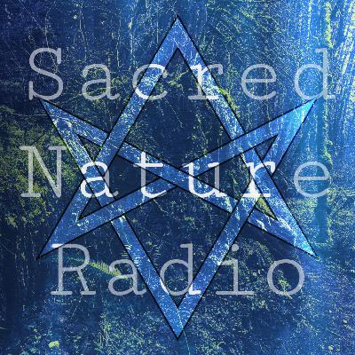 05 - Conversation with Brandt Stickley LAc about Integral Theory, Magick, and Chinese Medicine 05 - Conversation with Brandt Stickley LAc about Integral Theory, Magick, and Chinese Medicine