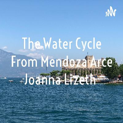 The water cycle
