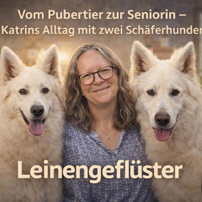Vom Pubertier zur Seniorin – Katrins Alltag mit zwei Schäferhunden