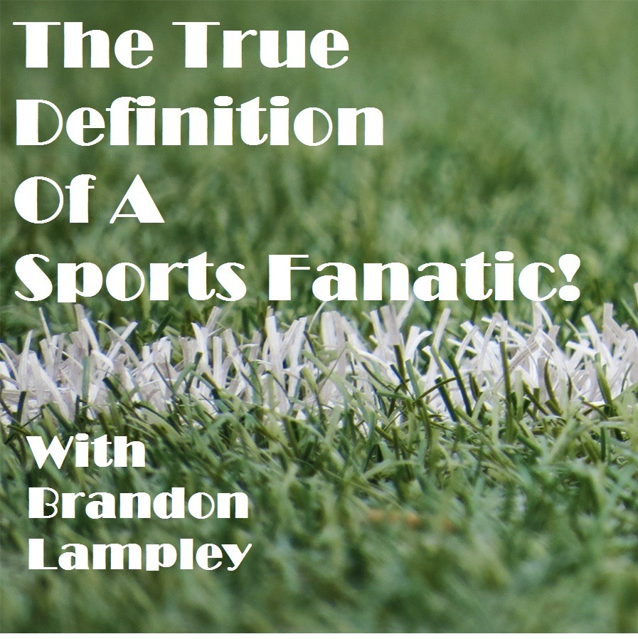 The True Definition Of A Sports Fanatic!