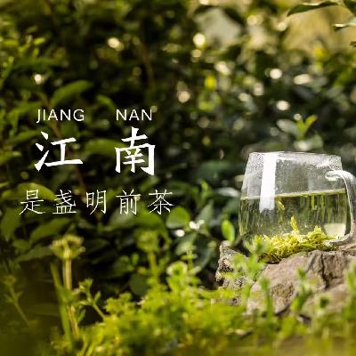 名茶的无奈|洞庭（山）碧螺春，爱你在心口难开