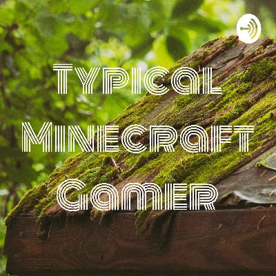 Minecraft house set up