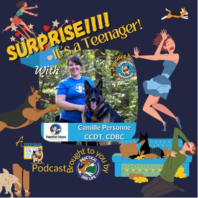 Trials, tribulations and the teenage dog with Camille Personne CCDT CDBC
