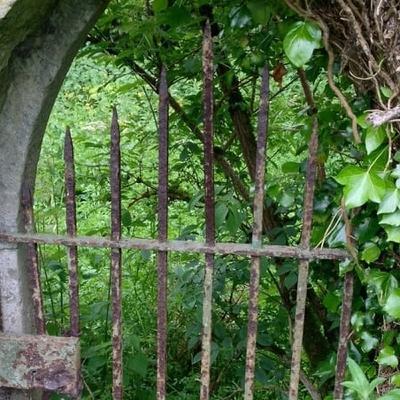 More graves uncovered at the site of the former Mother and Baby Home in Tuam