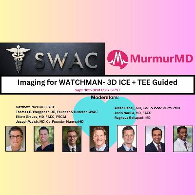 LAAC Imaging in 2025: 3D ICE vs TEE—Techniques, Safety & Workflow | SWAC Panel Sept. '25
