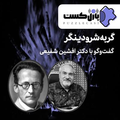 گربه شرودینگر (گفت و گو با دکتر افشین شفیعی) گربه شرودینگر (گفت و گو با دکتر افشین شفیعی)