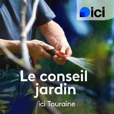 Préparer le potager pour les légumes d'hiver