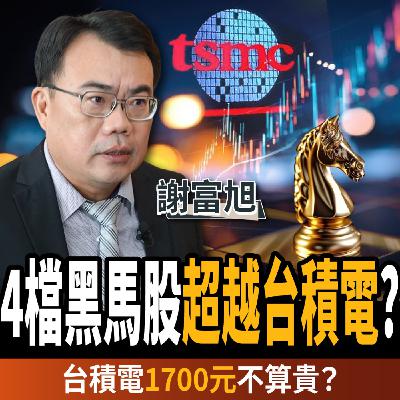 【下班經濟學＿股票】4檔黑馬股超越台積電？揭台美關稅受惠股？高股息ETF準備翻身？ft. 謝富旭