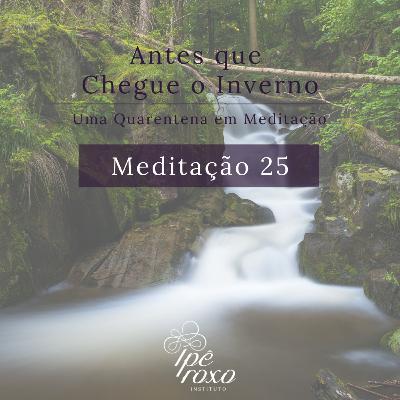 Meditação 25 - Fluindo no rio da vida