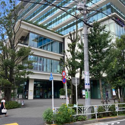 ノミ理論