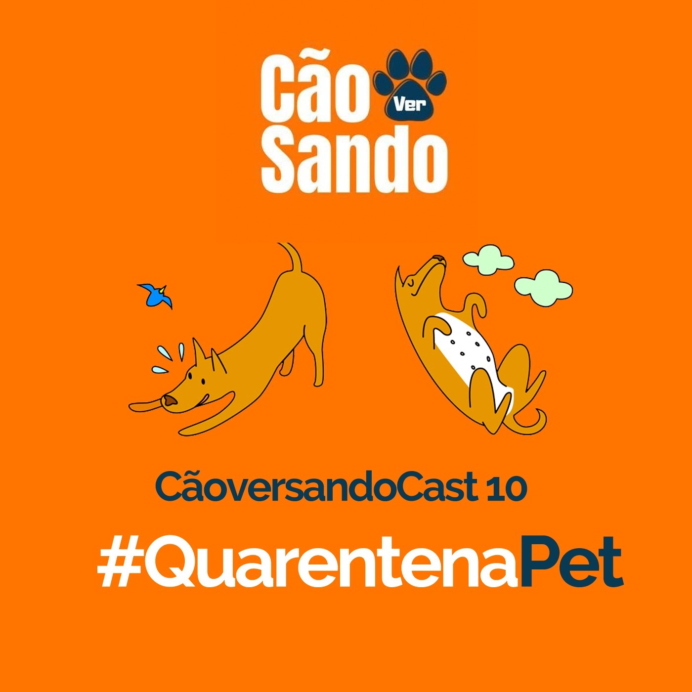 CãoversandoCast- Cãoversando Sobre Cachorros