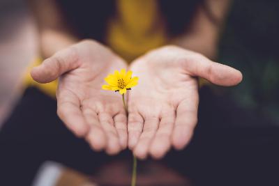 Episode 68: Minutes of Torah: Naso, Forgiveness and Restitution
