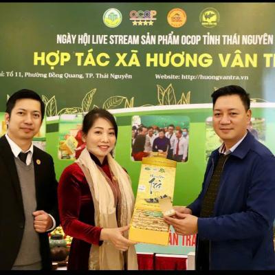 Chuyên gia của bạn - Hợp tác xã Hương Vân Trà: Xây dựng thương hiệu từ những đồi chè xanh