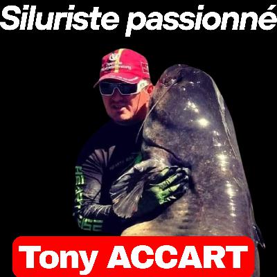 Tony ACCART : Celui qui a fait exploser le SILURE sur Youtube Tony ACCART : Celui qui a fait exploser le SILURE sur Youtube