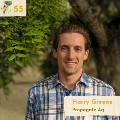 #55 Economic modelling and agroforestry design with Harry Greene