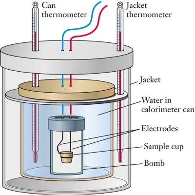 IGCSE Food calorimeter