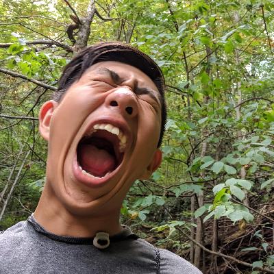 Why ALL your strategies are not gonna work in 2020