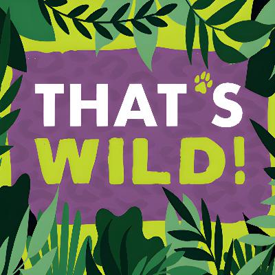 How We Construct Buildings for Wild Animals How We Construct Buildings for Wild Animals