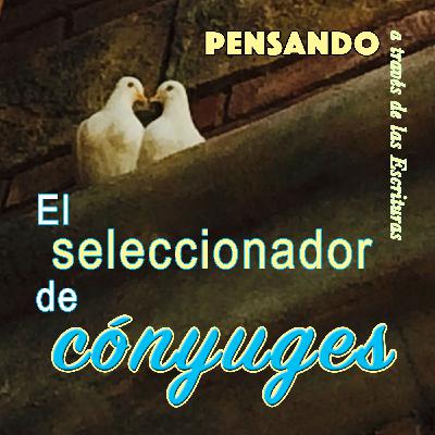 El seleccionador de cónyuges (PAE N.21)