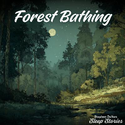 Forest Bathing | Calming Bedtime Story in Nature