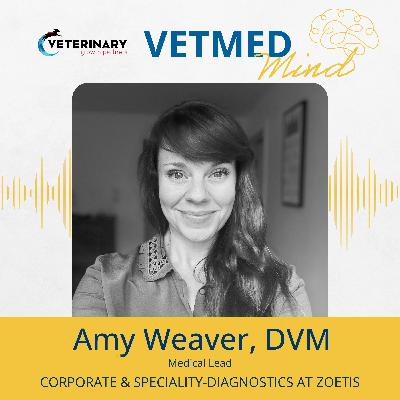 Success Stories & Lessons Learned: Amy Weaver, DVM
