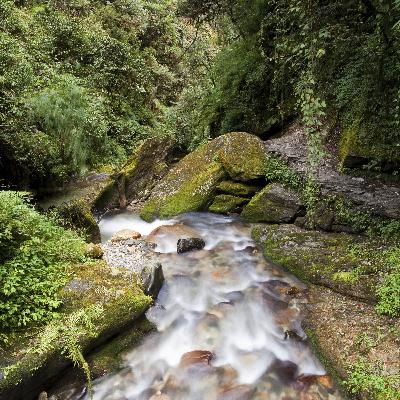 Peruvian Stream - 10 Hours Sleep Sound