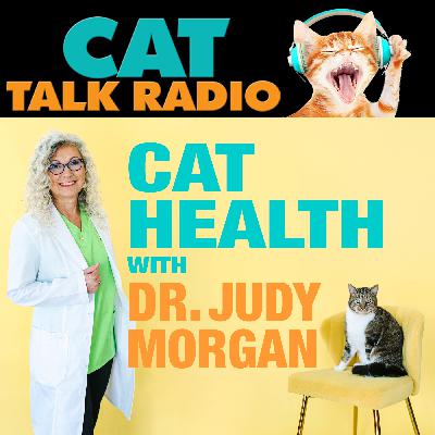 When Wellness Goes Wrong: Rethinking Cat Care with Dr. Judy Morgan
