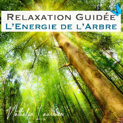 Relaxation guidée ''L'énergie de l'arbre"