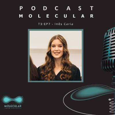 T3:EP7 - Inês Caria