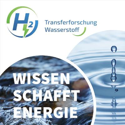 Tor zur Energiewende: Häfen und ihre Rolle für Wasserstoff(-importe)