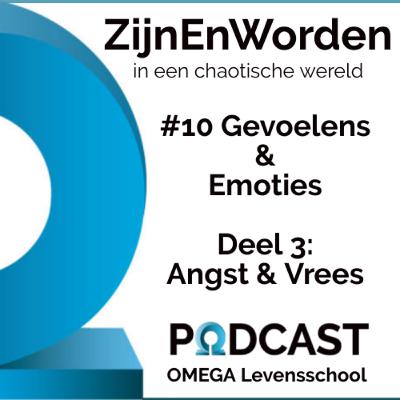 Vrees en Angst: De verborgen kracht van je levensenergie | Gevoelens & Emoties Deel 3: Vrees Vrees en Angst: De verborgen kracht van je levensenergie | Gevoelens & Emoties Deel 3: Vrees