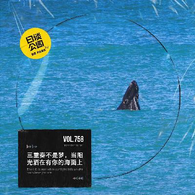 vol.758 三重奏不是梦，当阳光洒在有你的海面上