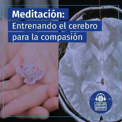 Meditación de la Bondad Amorosa: entrenando el cerebro para la compasión