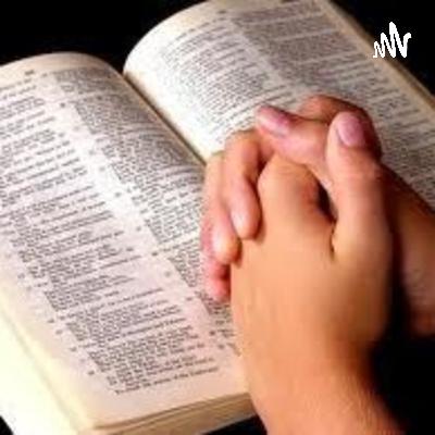 Tempos de ignorância.