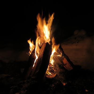 🔥 Campfire Sounds 🔥 with Relaxing Night Animals Sounds | Owls, Crickets | Sleep, Insomnia, Study | 3 hours