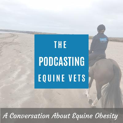 A Conversation About Equine Obesity