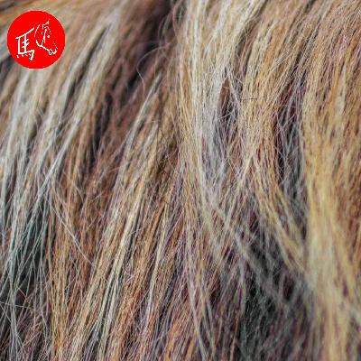 Haaranalyse beim Pferd