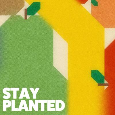 Stay Planted — God Is A Gardener — Jordan Rippy