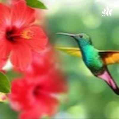 Seguir a Jesús: amor que exige todo