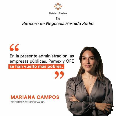 En la presente administración las empresas públicas Pemex y CFE se han vuelto más pobres En la presente administración las empresas públicas Pemex y CFE se han vuelto más pobres