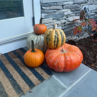 [PREVIEW] How Much Did You Pay Your Pumpkin Stylist?