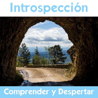 Introspección